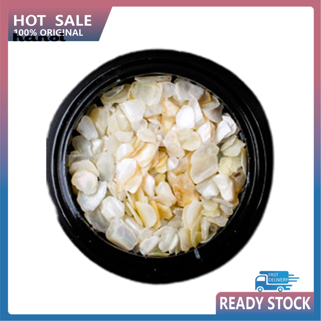 1 Hộp Vỏ Sò Tự Nhiên Trang Trí Móng Tay Nghệ Thuật