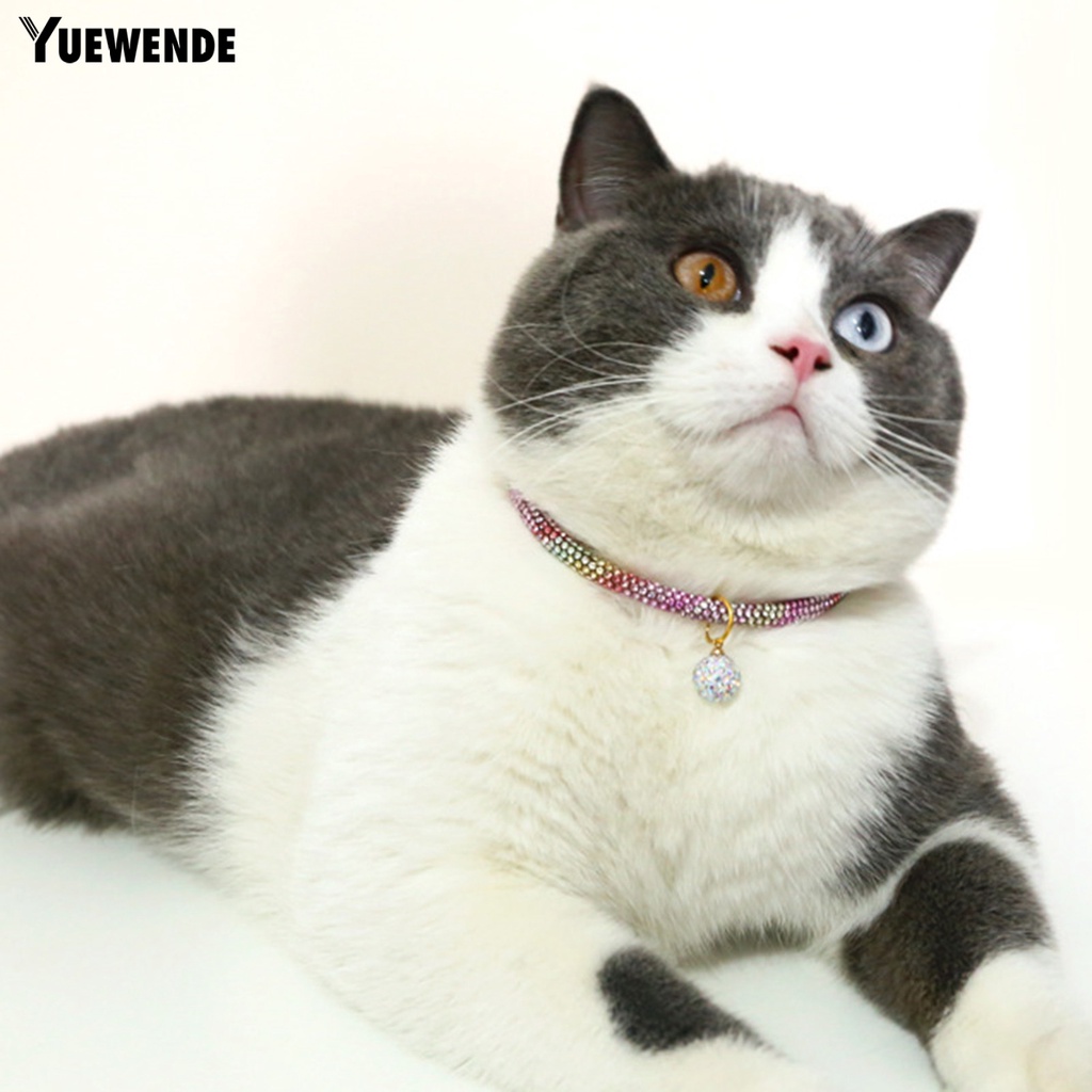 Vòng Cổ Nhiều Màu Sắc Đính Đá Cho Thú Cưng