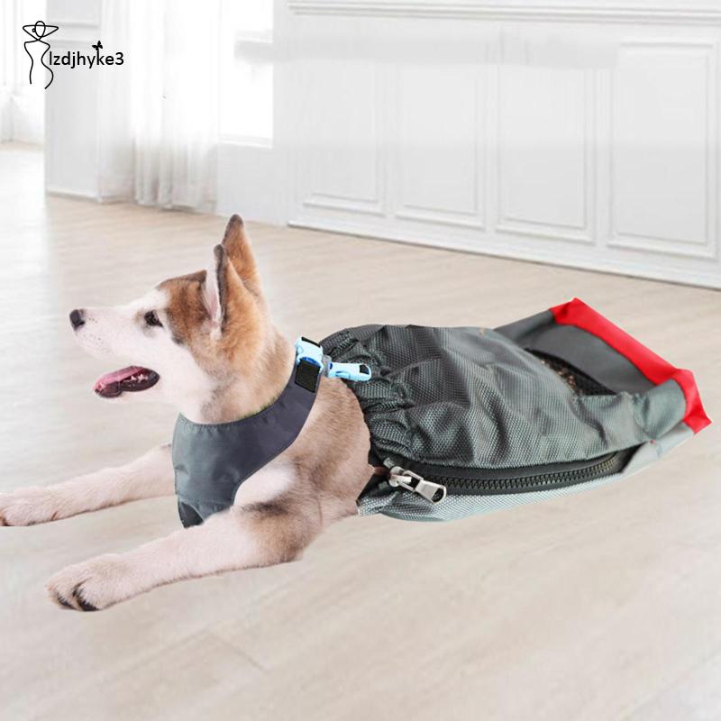 Túi Đựng Thú Cưng Đi Dạo lzdjhyke3 Tiện Dụng