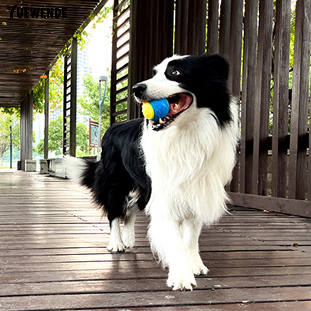 Quả Bóng Đồ Chơi Chống Cắn Làm Sạch Răng Cho Thú Cưng Kích Thước Vừa Và Lớn