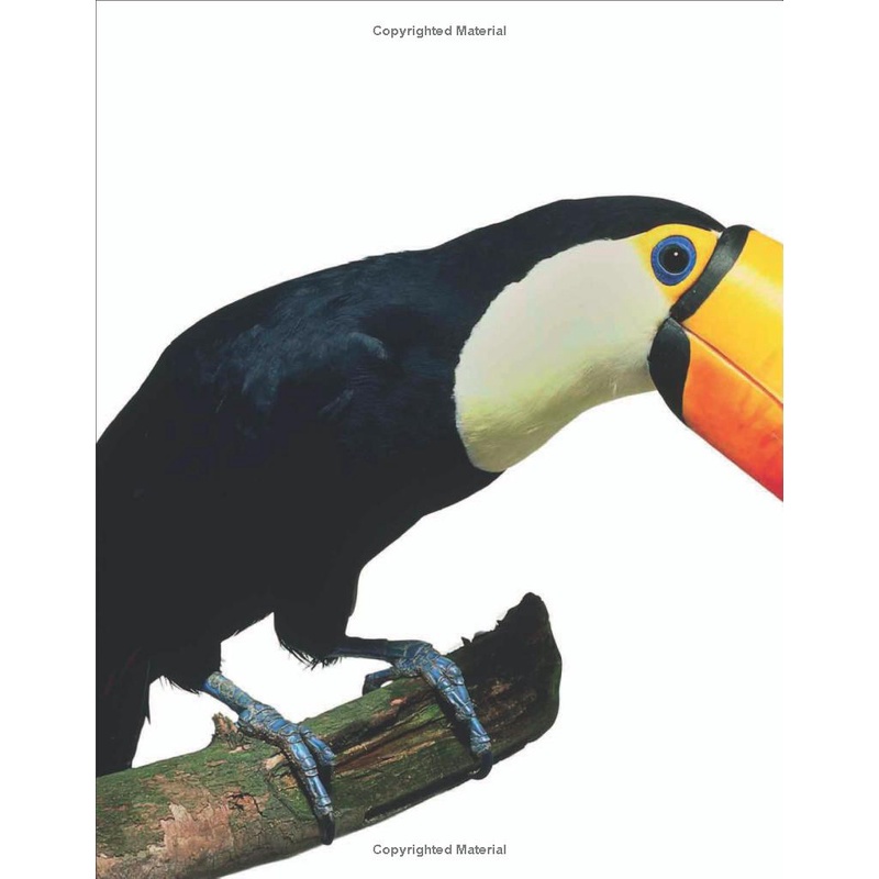 Sách The Animal Book