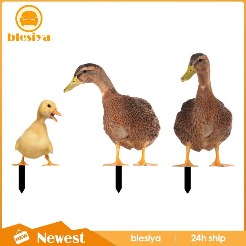 [Blesiya] Bộ 3 Bức Tượng Vịt Trang Trí Lối Đi Sân Vườn