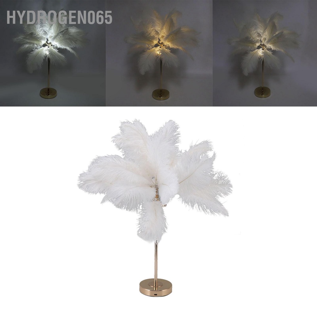 Hydrogen065 Lông Vũ Đèn Bàn Cảm Ứng USB Đà Điểu 3 Màu Mờ Để Vàng Đế Kim Loại 30 chiếc
