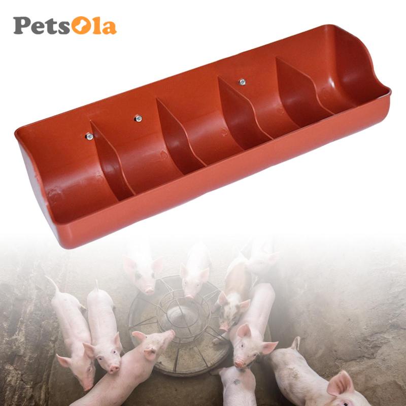 Dụng Cụ Cho Thú Cưng Ăn Uống Tiện Dụng