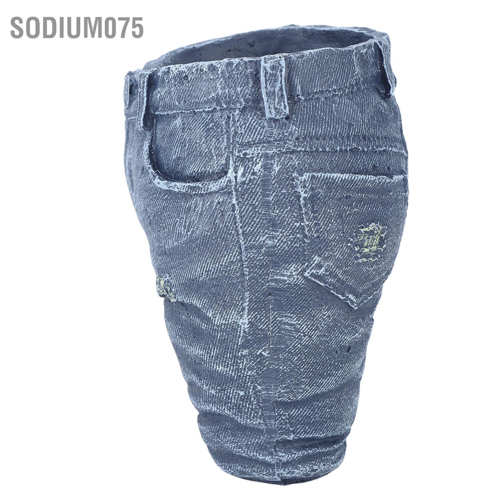 Sodium075 Sáng Tạo Hoa Denim Trang Trí Nồi Quần Áo Cho Vườn Thủ Công