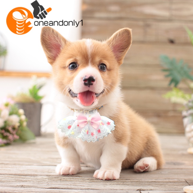 Yếm Ăn Phối Ren Đính Nơ Dùng Làm Đạo Cụ Chụp Ảnh Cho Thú Cưng