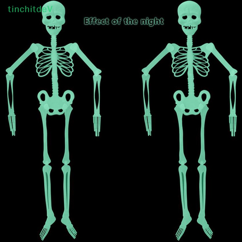 [TinchitdeV] Bộ Xương Người 32 / 90 / 150cm Trang Trí Halloween