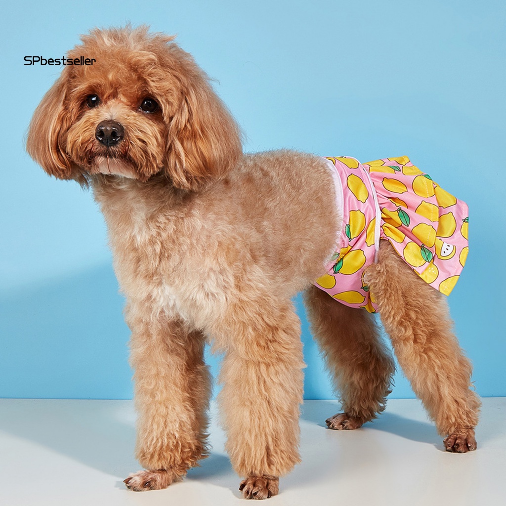 Băng Quấn Thú Cưng Đi Dạo Tiện Dụng