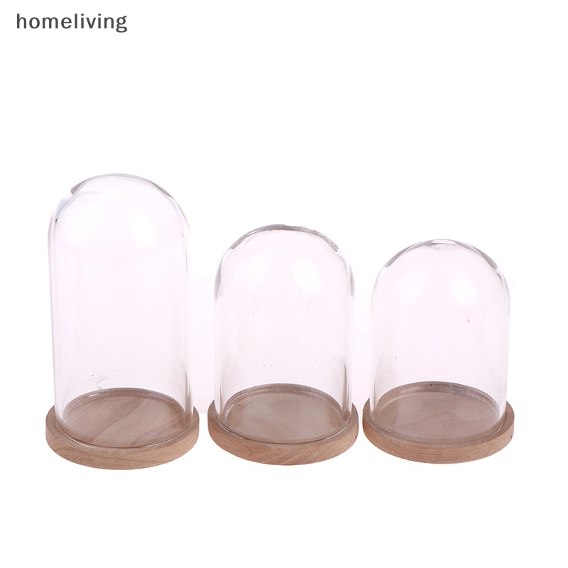 Lọ Thủy Tinh Đựng Hoa Trưng Bày Trang Trí Nhà Búp Bê Tỉ Lệ 1: 12