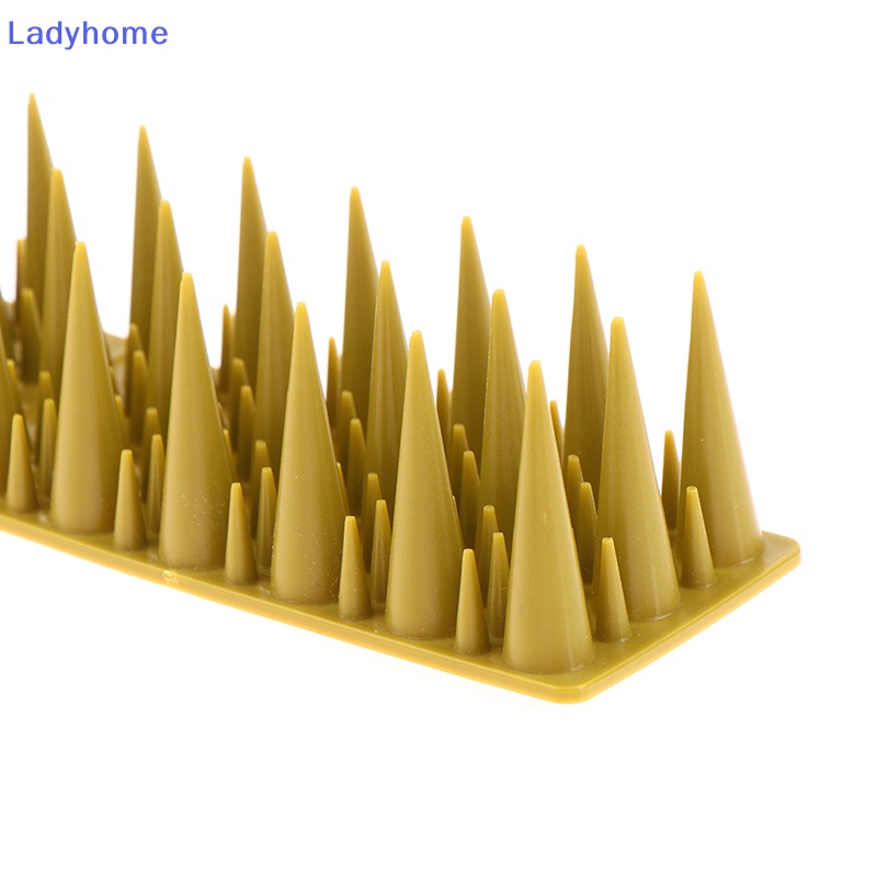 Đồ Chơi Bằng Nhựa Chống Chim Phá Hoại Tiện Dụng