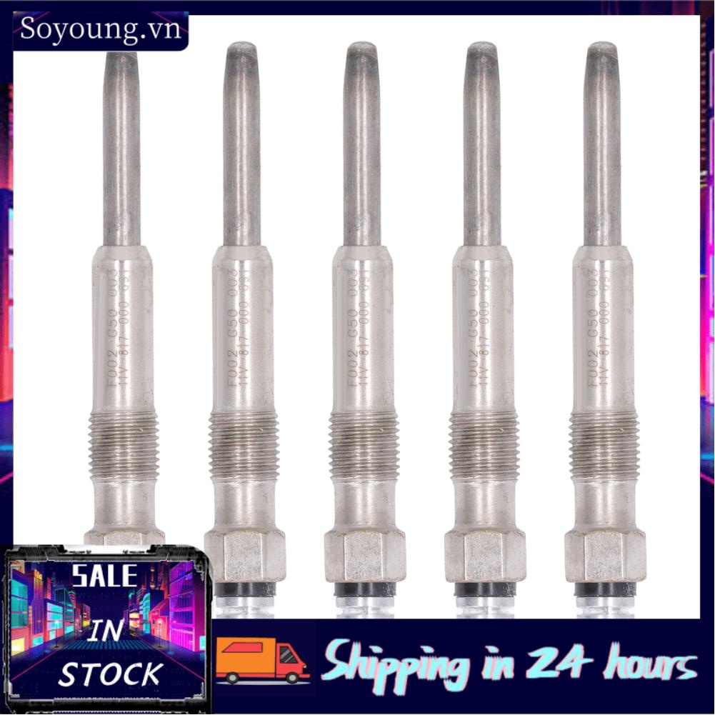 Soyoung Heater Glow Plugs  OEM Standard Direct Fit 5PCS Heavy Duty Plug Set for Automobile