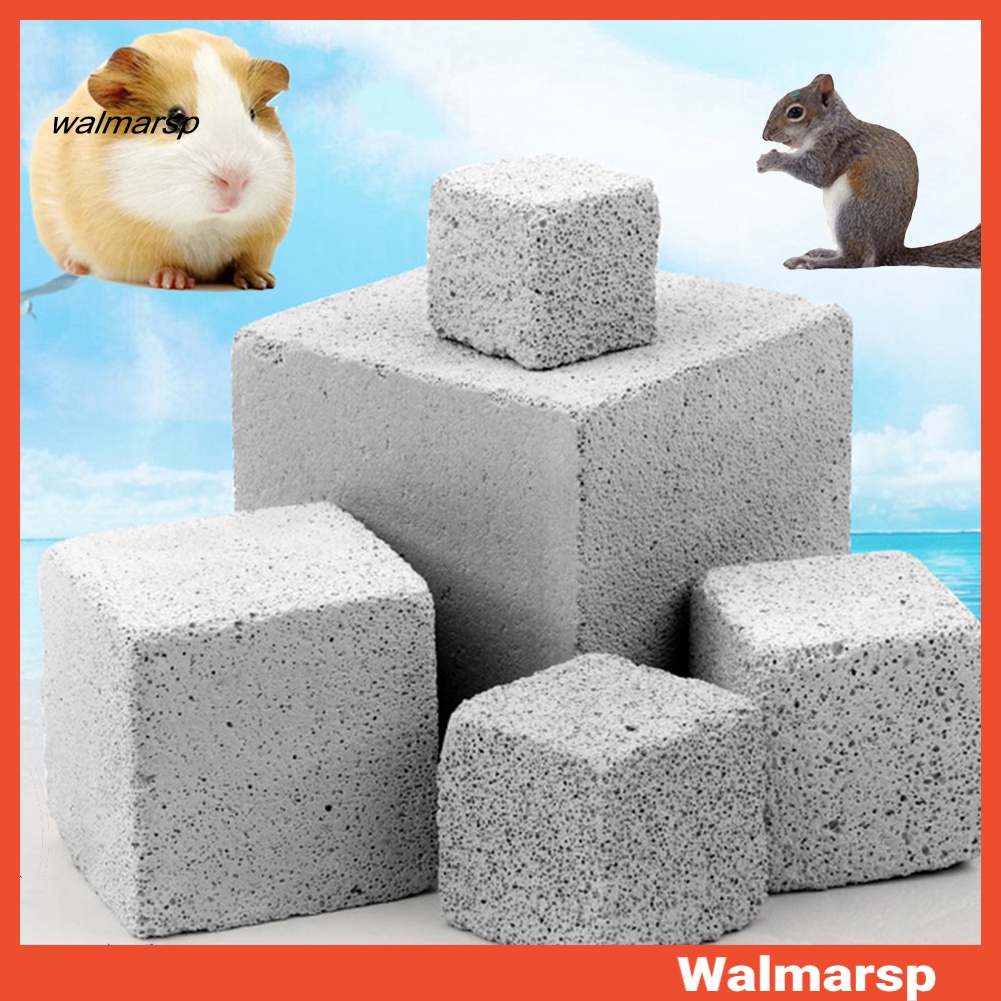 Đồ Chơi Ngậm Cắn Đá Canxi Nhỏ Xinh Xắn Cho Hamster / Sóc / Thỏ