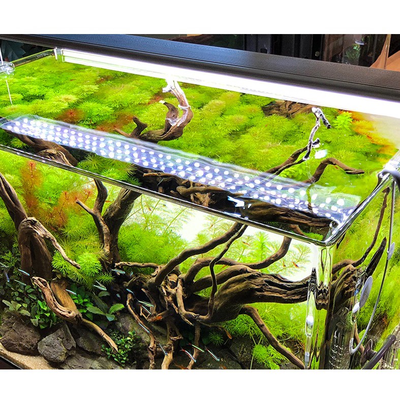 Đèn LED Odyssea Slim X 10000K - Đèn Led Odyssea Thuỷ Sinh Siêu Sáng