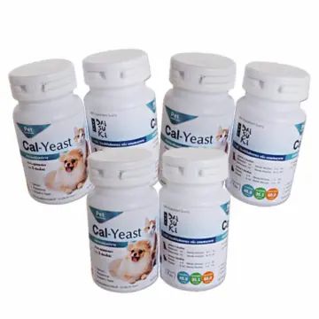 DAISUKI Cal - Yeast viên uống canxi dưỡng lông và da cho chó mèo 🐶 FREE SHIP 🐶 Canxi cho pet trên 3 tháng tuổi