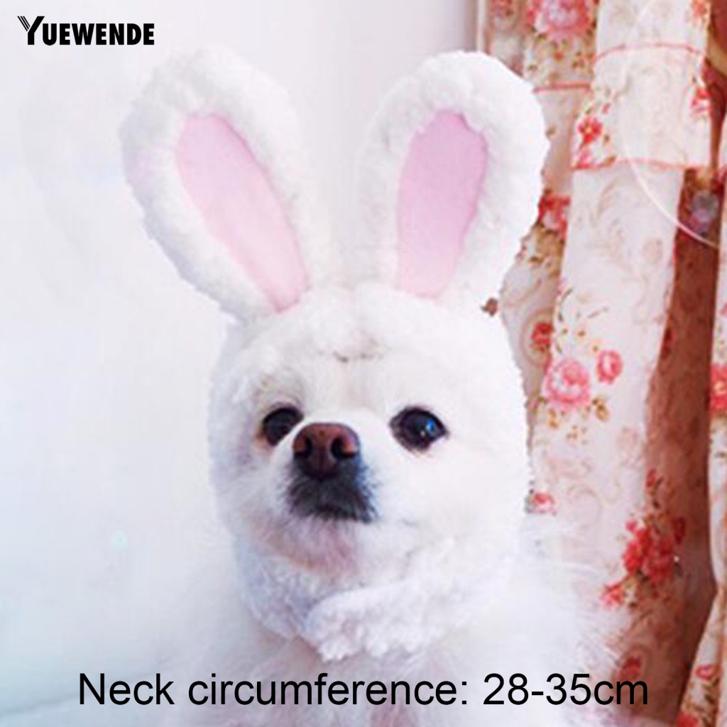 Băng Đô Đội Đầu Bằng Vải Cotton Pha Mềm Mại Ấm Áp Dành Cho Thú Cưng