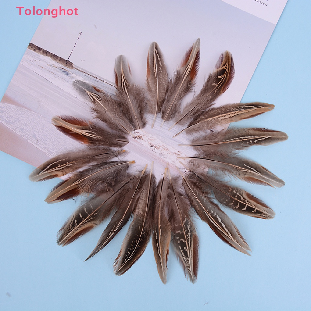 Set 50 Lông Gà 5-10cm Dùng Trang Trí Thủ Công diy