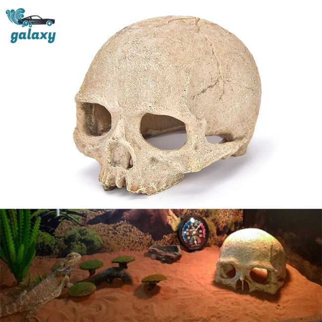 Galaxy Mô Hình Đầu Lâu Người Cho Bể Cá