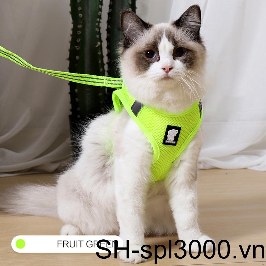 Bộ Dây Dắt Thú Cưng Đi Dạo Co Giãn Phản Quang Tiện Dụng