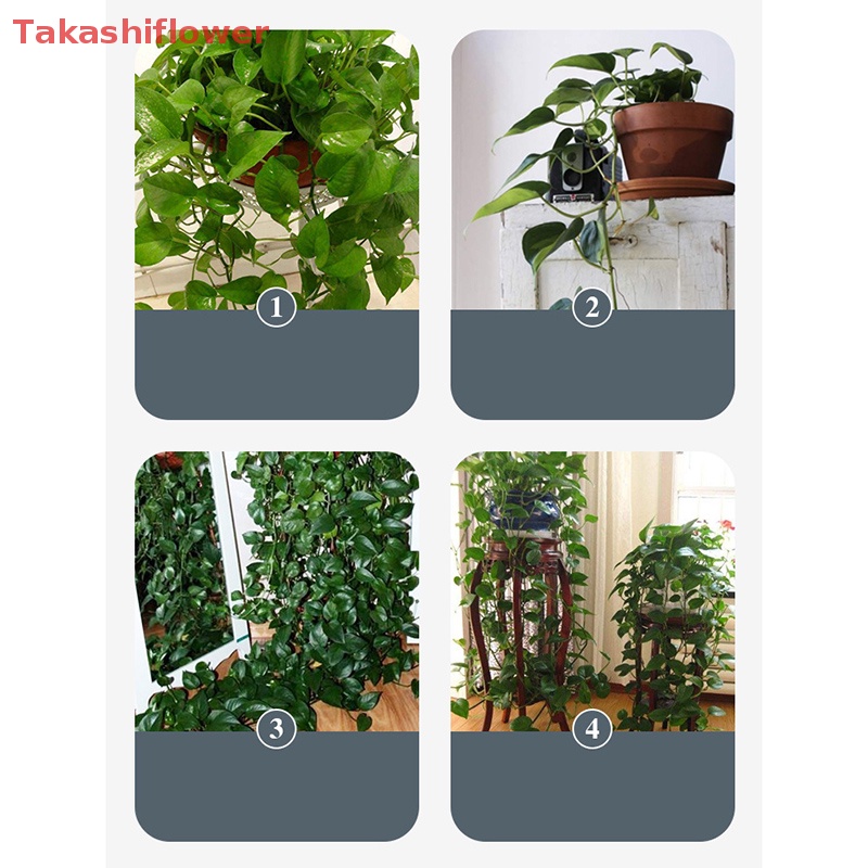 Set 10 Móc Kẹp Tự Dính Hình Chiếc Lá Chuyên Dùng Cố Định Cây Leo