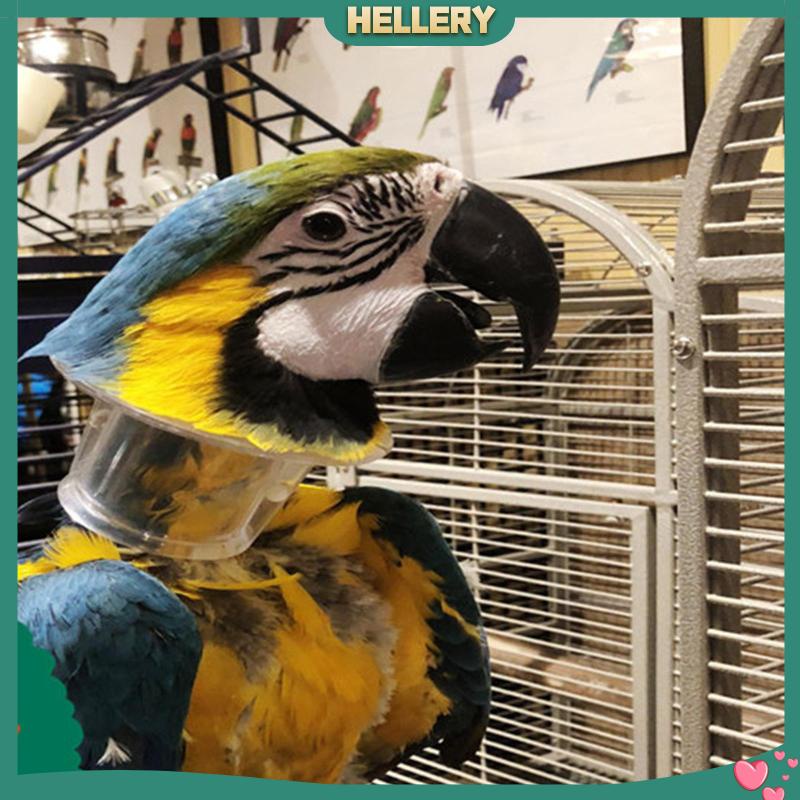 Vòng Cổ Chuỗi Hạt Bảo Vệ An Toàn Cho Chim Vẹt