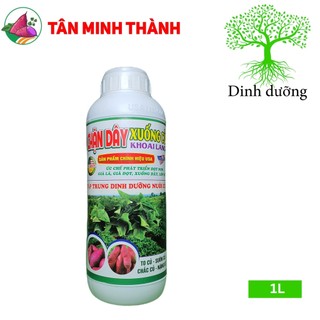 Chặn Dây Xuống Củ Khoai Lang giúp đứng dây, tạo củ, to củ, xuôn củ, chắc củ, lớn phì củ, nặng ký, chống thối củ