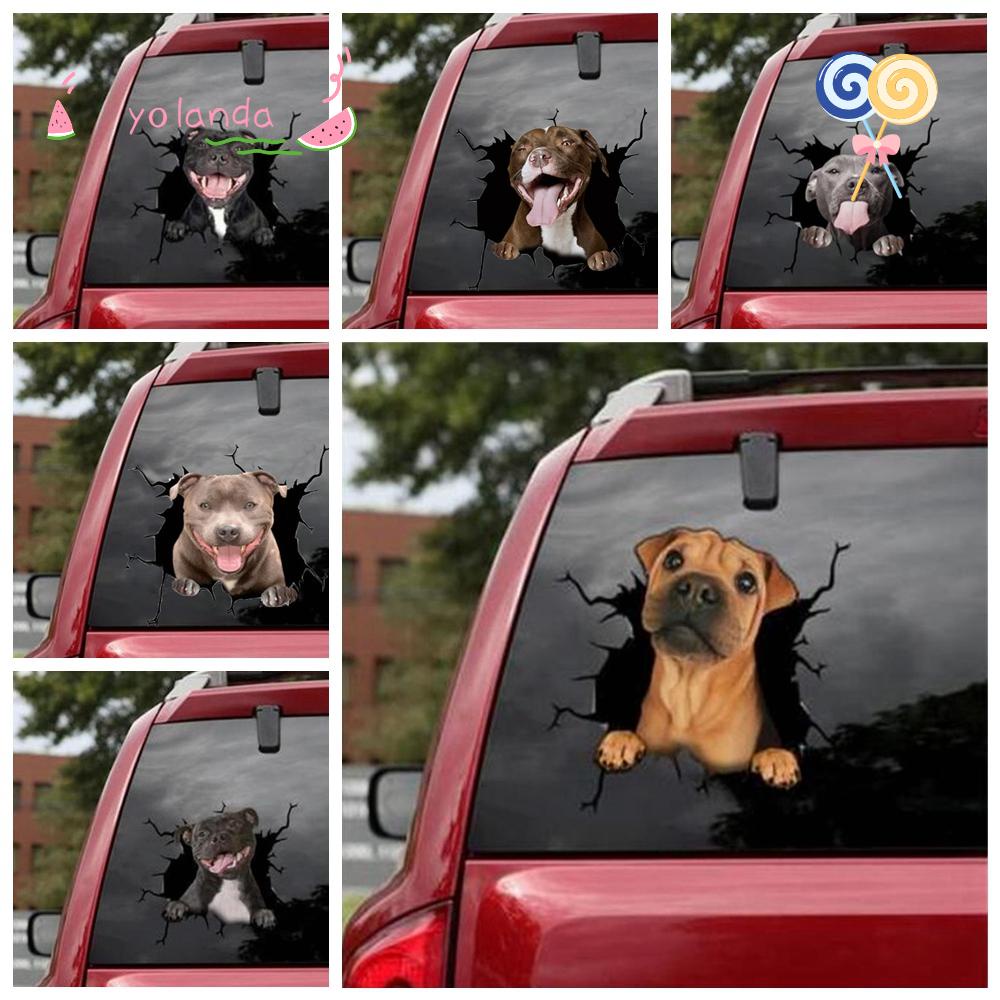 Miếng Dán Trang Trí Cửa Sổ Xe Hơi Bằng Chất Liệu PVC Chống Thấm Nước