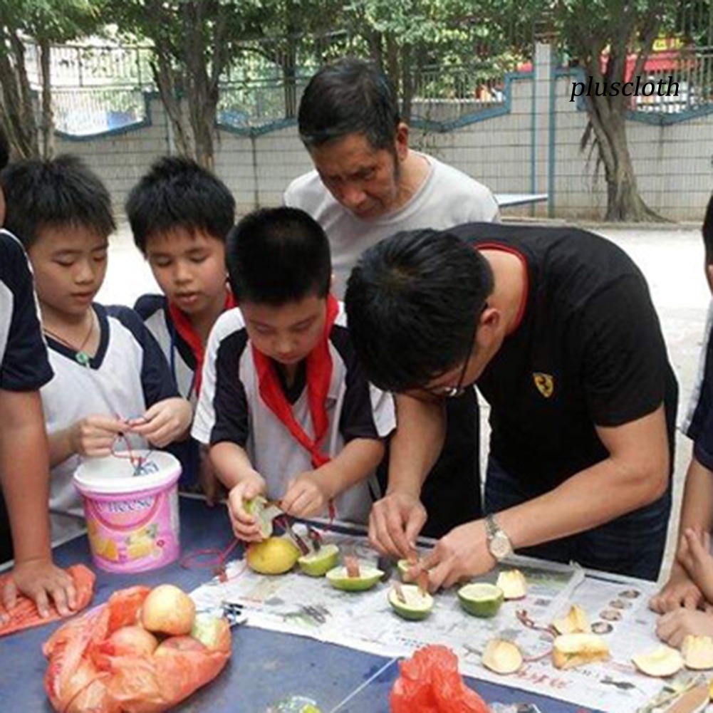 Bộ Đồ Chơi Thí Nghiệm Khoai Tây / Sinh Học Đèn Năng Lượng Mặt Trời DIY