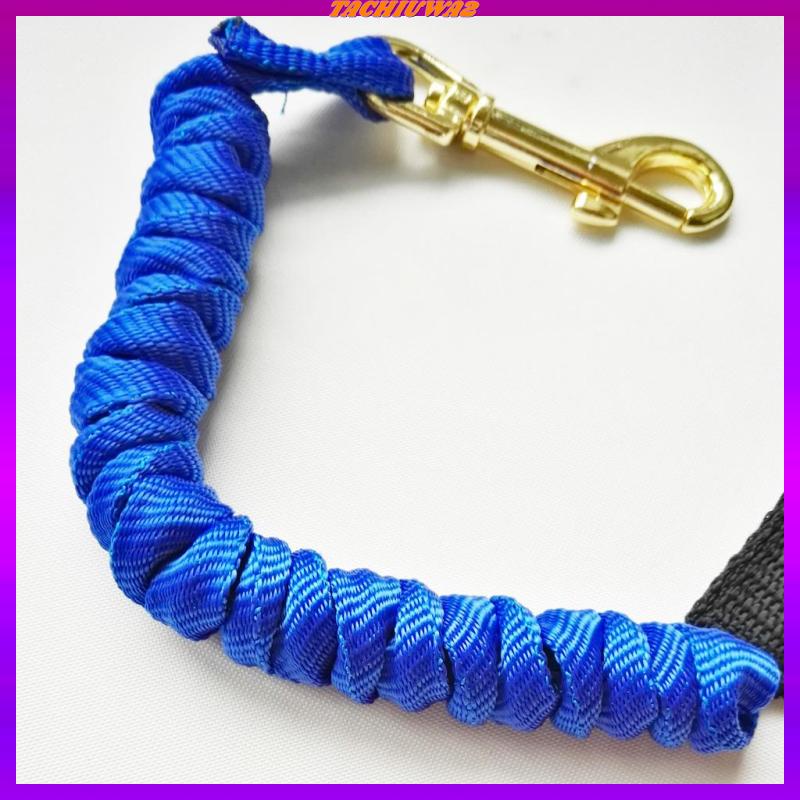 [Tachiuwa2] Set 2 Miếng Dán Miệng Cá Mập + Dây Bungee Màu Xanh Dương