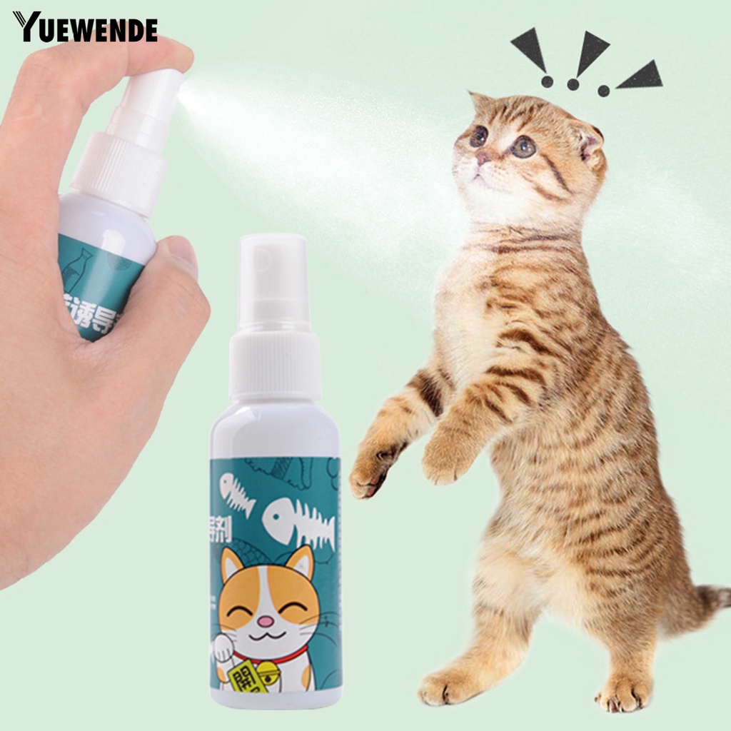 Nước Hoa YQ.E 50ml Không Hiệu Ứng Phụ Giảm Căng Thẳng Cho Thú Cưng Trong Nhà