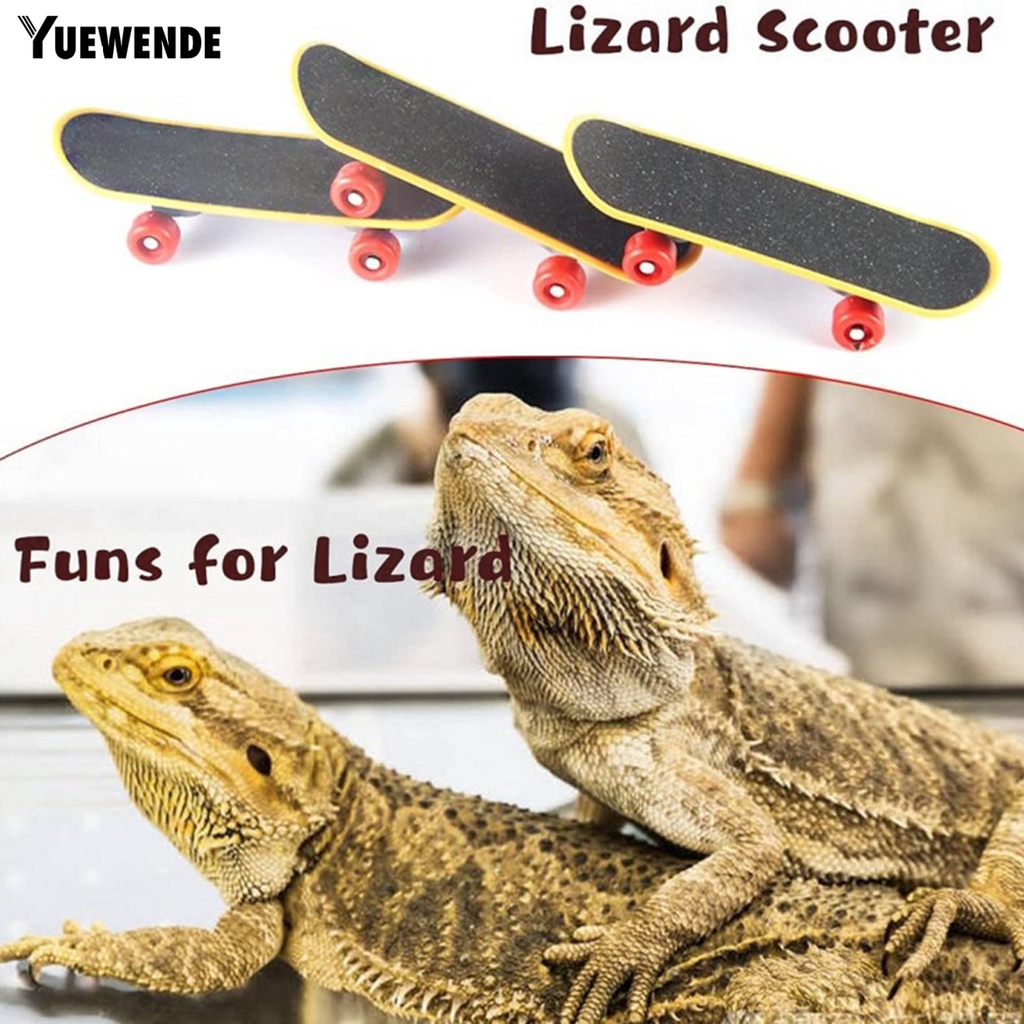 Yq.e 1 Set Mũ Bảo Hiểm Thằn Lằn Mini Co Giãn Thoải Mái Chắc Chắn Để Tập Thể Dục Giảm Căng Thẳng Vui Nhộn Dễ Thương