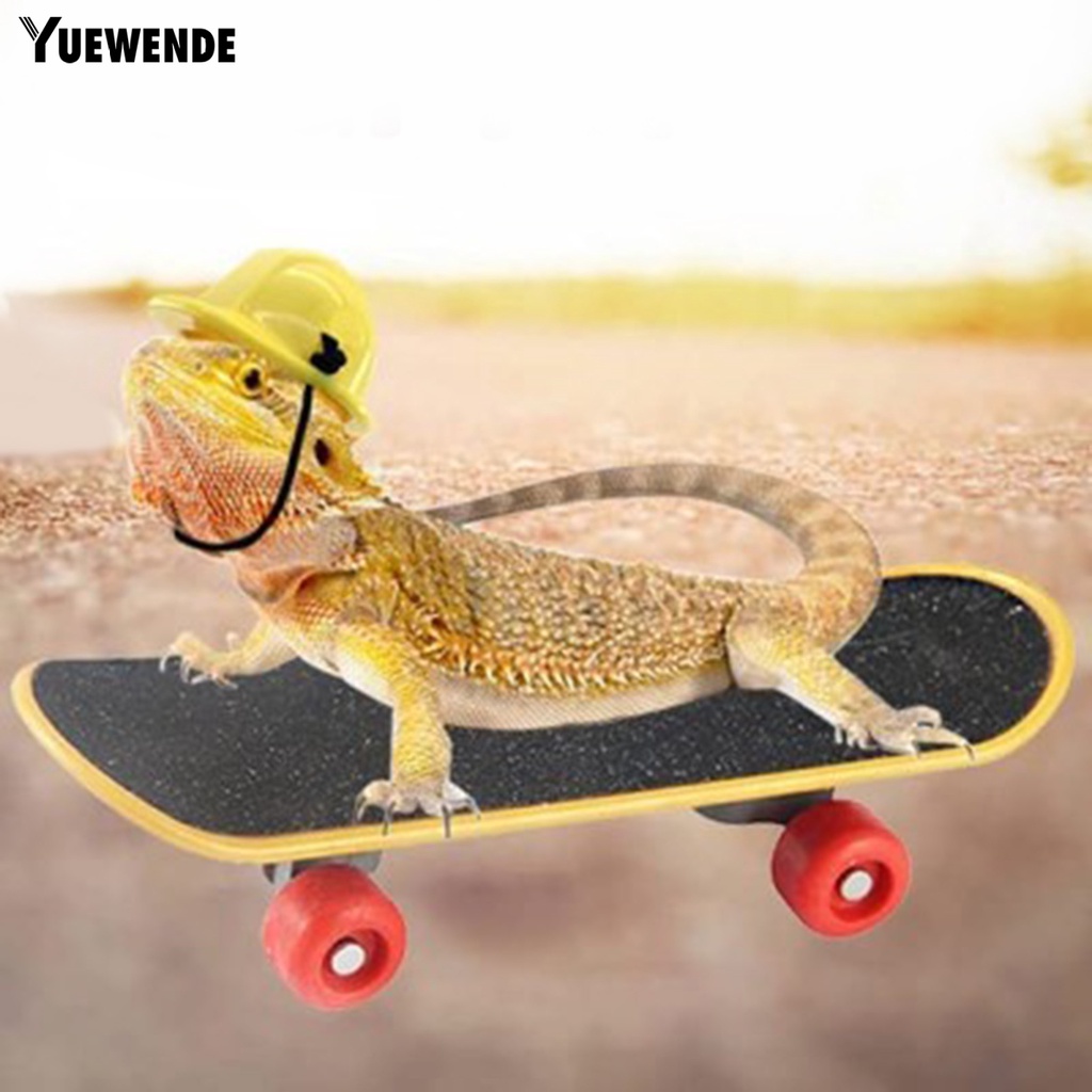 Yq.e 1 Set Mũ Bảo Hiểm Thằn Lằn Mini Co Giãn Thoải Mái Chắc Chắn Để Tập Thể Dục Giảm Căng Thẳng Vui Nhộn Dễ Thương