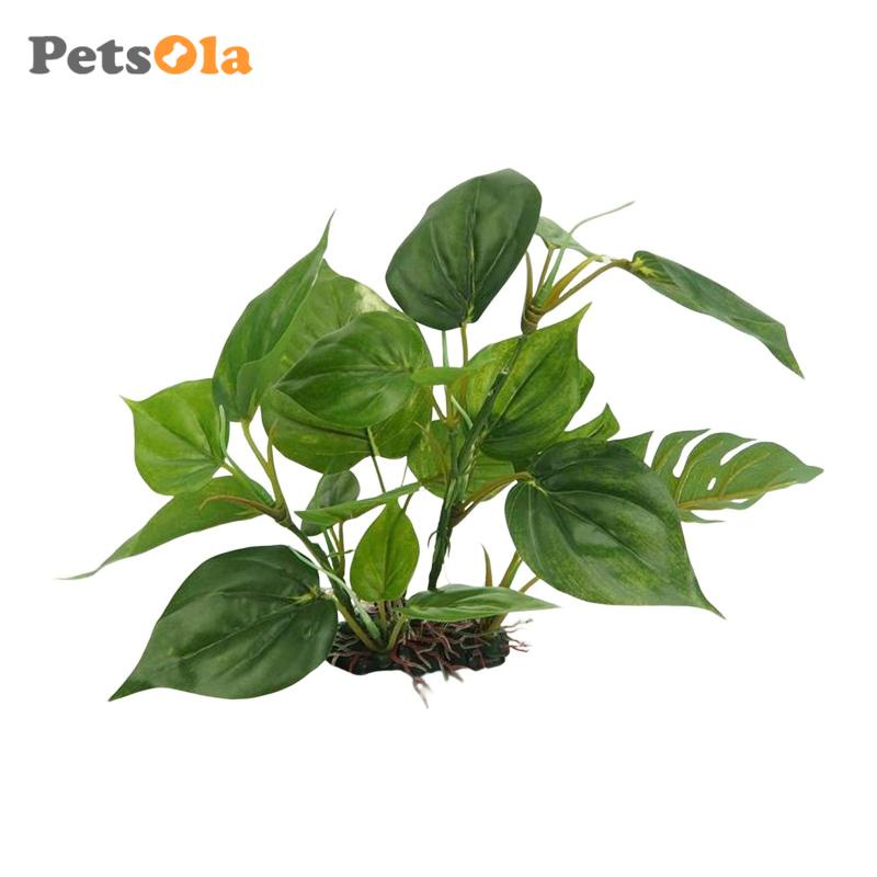 [Koolsoo21] Thực Vật Ẩn Đường Đi Trang Trí Bể Cá