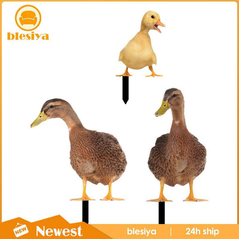 [Blesiya] Bộ 3 Bức Tượng Vịt Trang Trí Lối Đi Sân Vườn