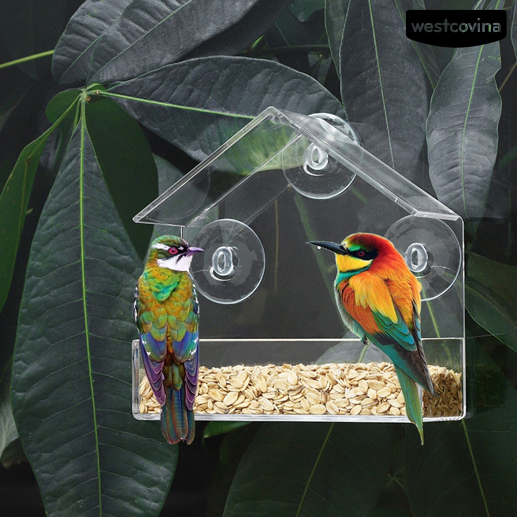 [COD]♞Khay Đựng Thức Ăn Dung Tích Lớn Thiết Kế Cốc Hút Chống Mài Mòn Tiện Dụng Cho Chim Cảnh