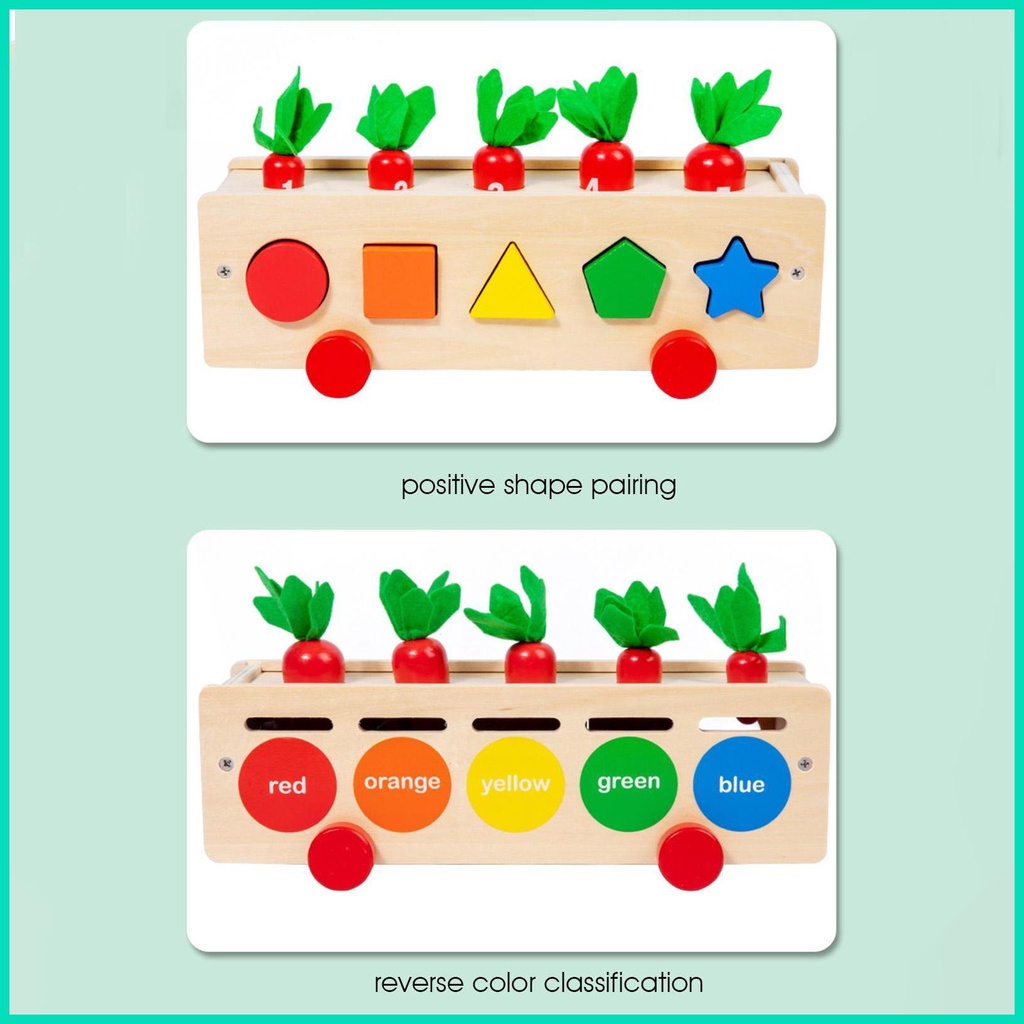Củ Cà Rốt Đồ Chơi Giáo Dục Theo Phương Pháp Montessori Cho Bé