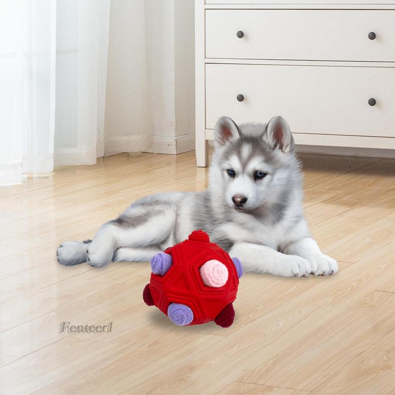 Banh Huấn Luyện Thú Cưng Màu Đỏ