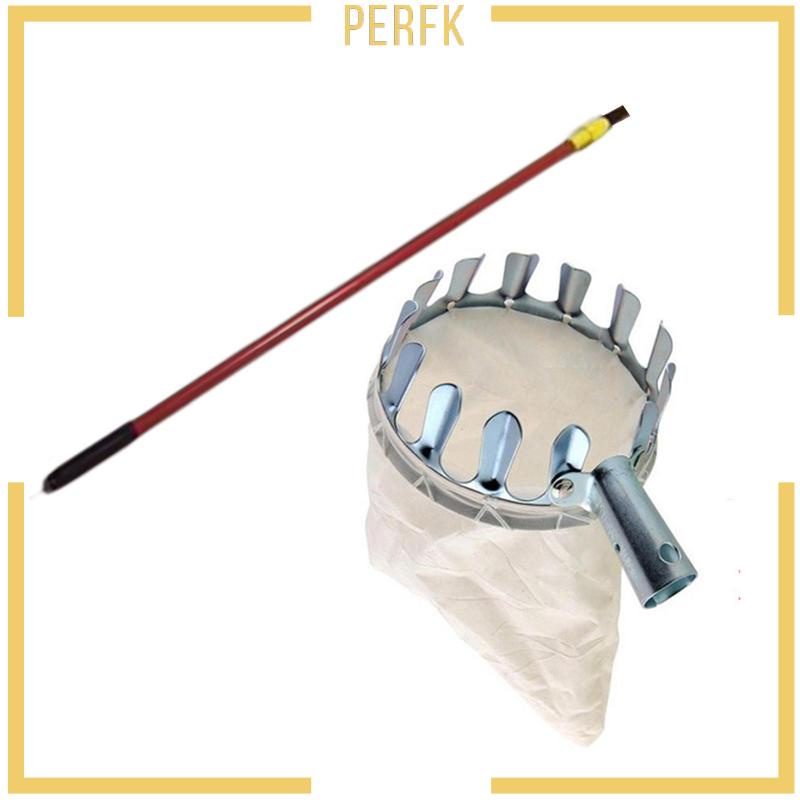 Rổ Đựng Trái Cây Giúp Tiết Kiệm Sức Khỏe