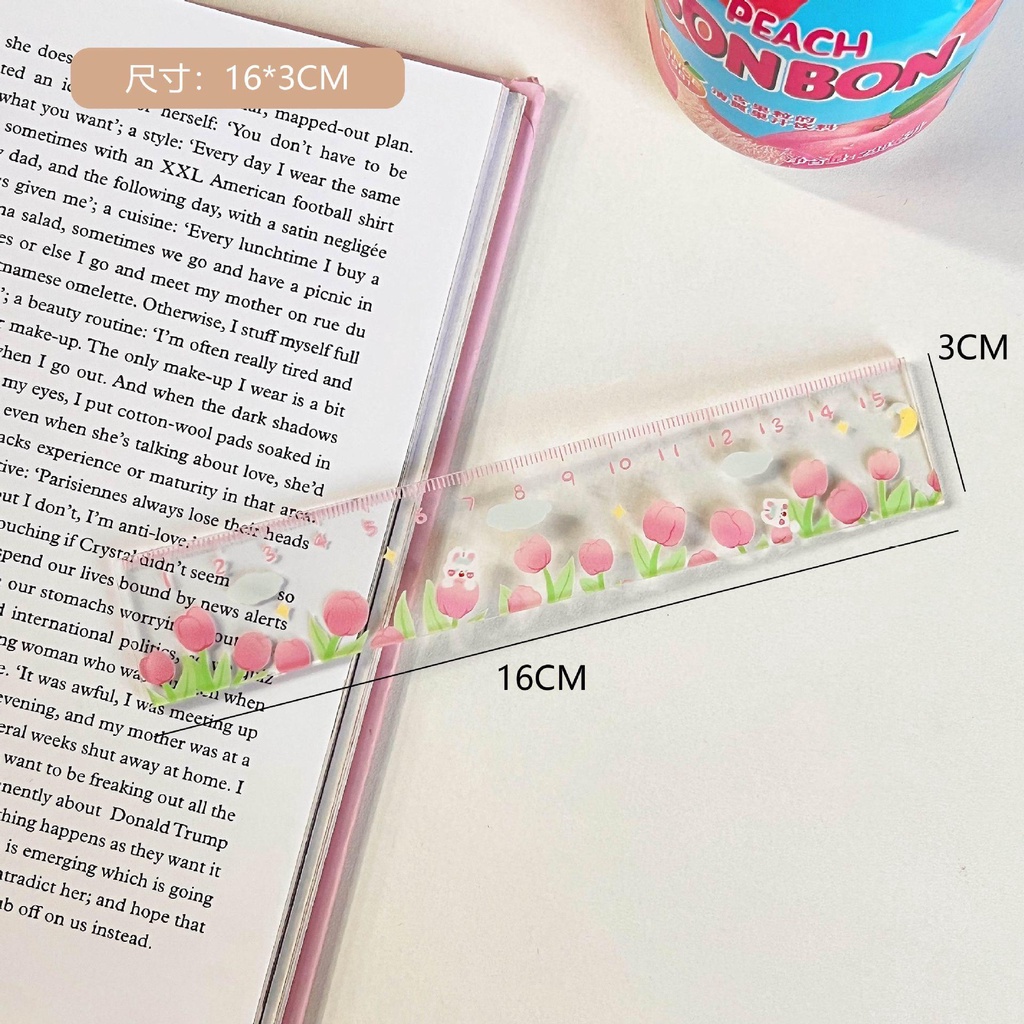 Thước kẻ mica trong suốt TK02 KAMI in hình dễ thương 15cm, thước nhựa học sinh sinh viên