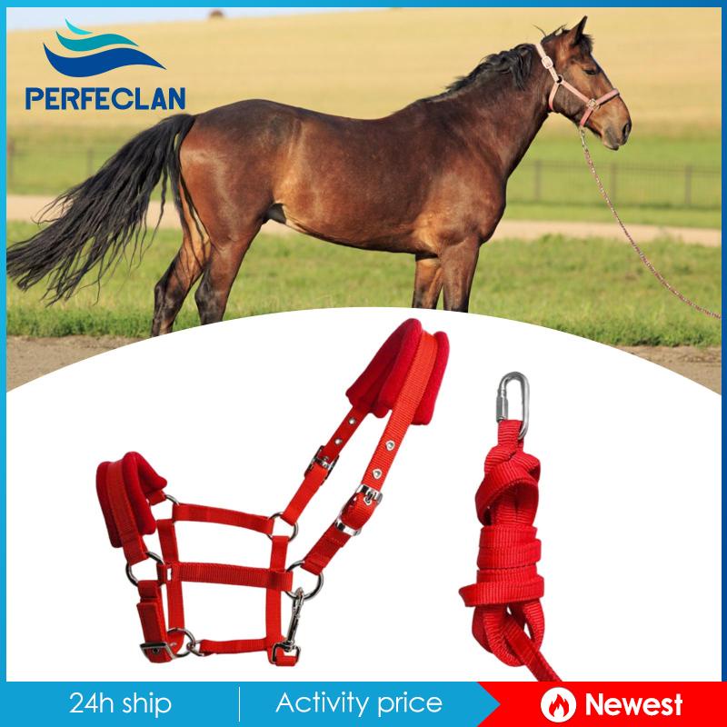 Dây Đeo Đầu Có Đệm Ngựa Cob Có Thể Điều Chỉnh Cho Equestrian