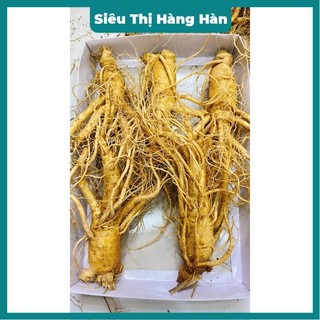Sâm tươi hàn quốc 1/5;6;7;;9;10 củ