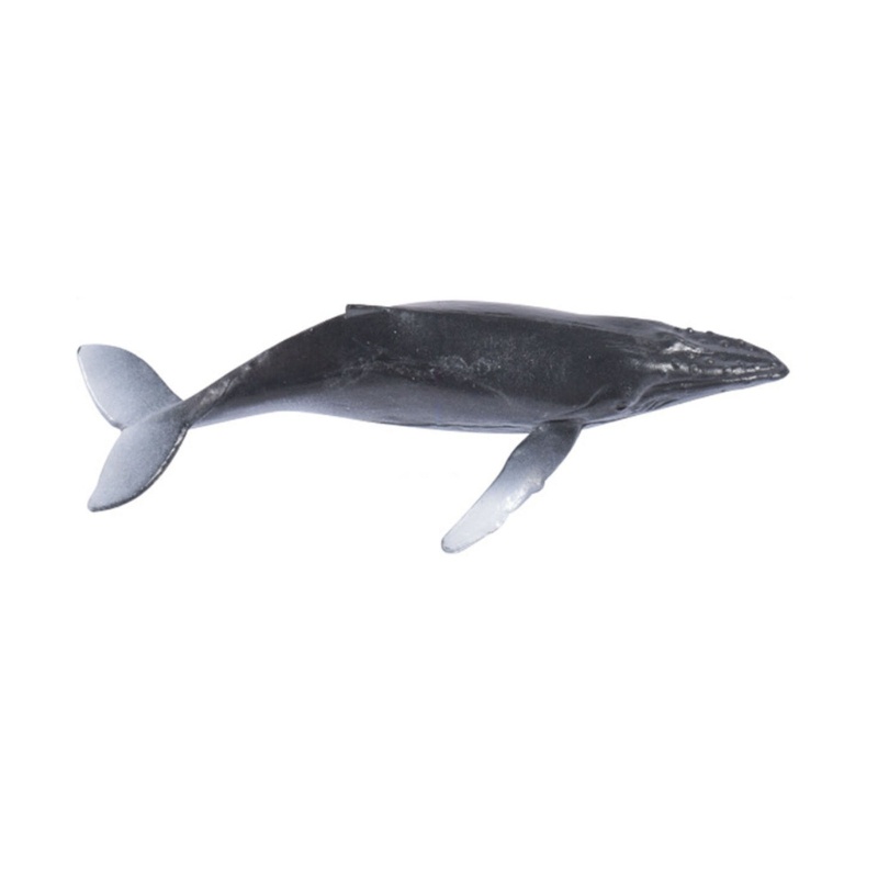 Khuôn Silicon Hình Động Vật Biển Mini Bằng Resin