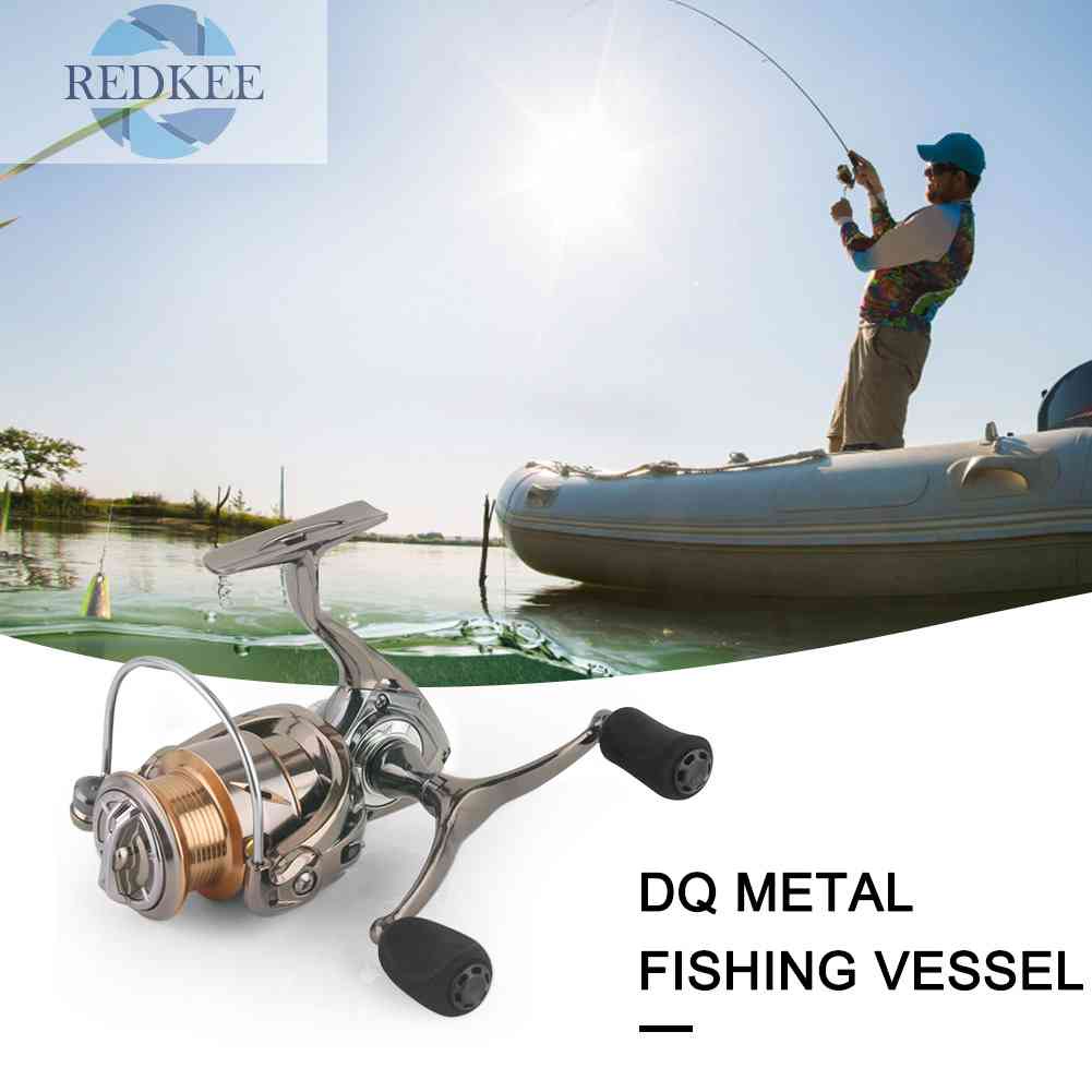 Máy Câu Cá 4 + 1 Bi Chuyên Nghiệp