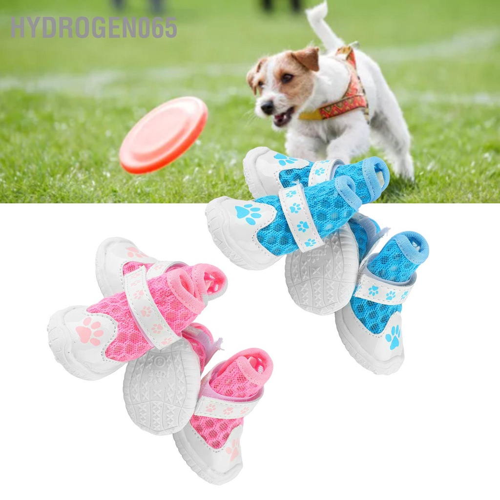 Hydrogen065 4 Boot Cho Chó Mùa Hè Thời Trang Lưới Thoáng Khí Nhẹ Chống Trơn Trượt Chân Bảo Vệ Ngoài Trời Đi Bộ