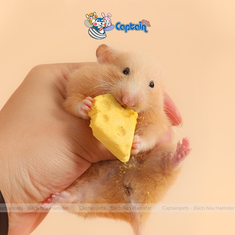 Viên phô mai thịt gà rau củ mài răng cho Hamster