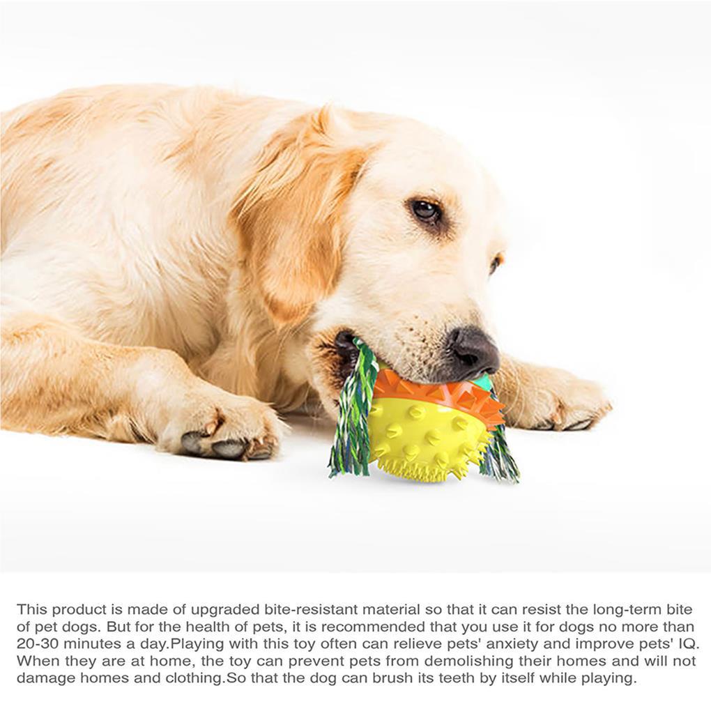 Đồ Chơi Bóng Lăn Tự Động Chống Cắn Làm Sạch Răng Cho Thú Cưng