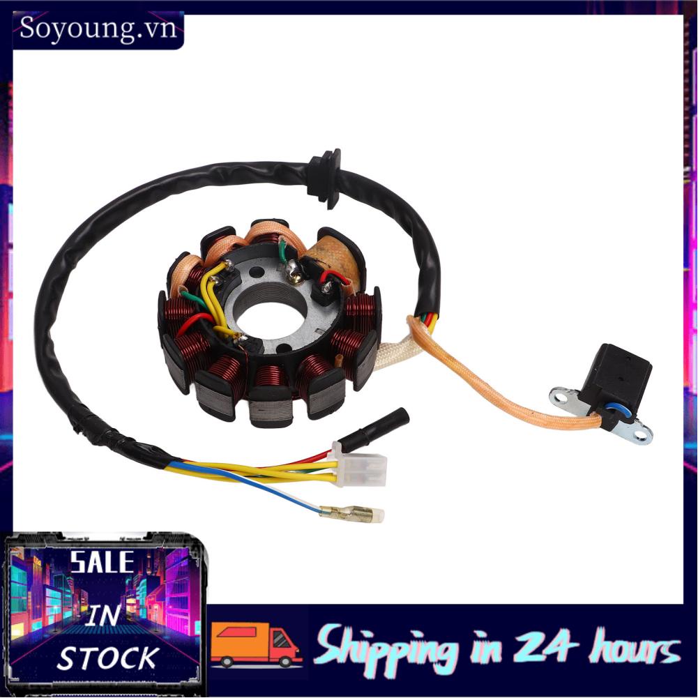 Soyoung Generator Stator Coil  High Performance Easy Installation Magneto Generator Stator Coil High Temperature Resistant 11 Coil  for Scooter