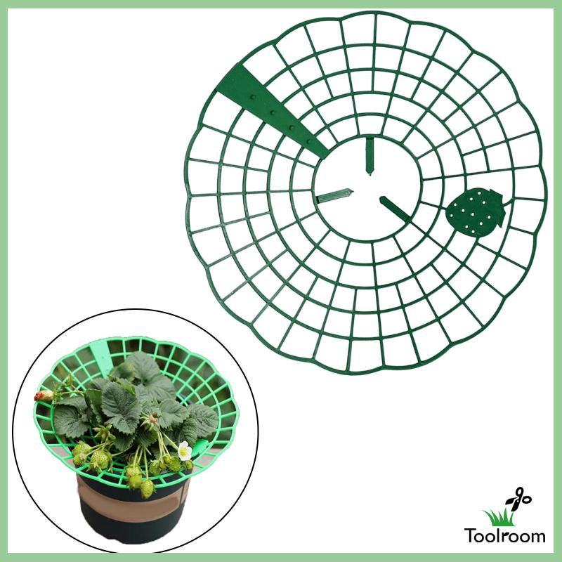 Giá Đỡ Hỗ Trợ Trồng Dâu Tây Tiện Dụng Cho Sân Vườn