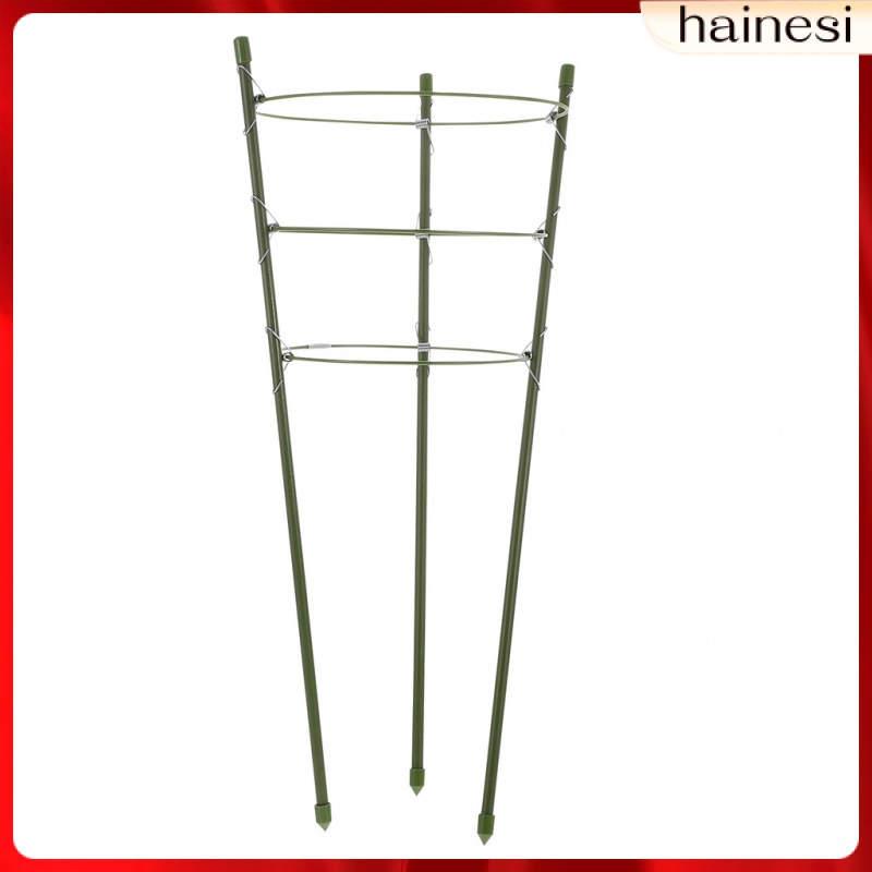 Bộ 3 Khung Giá Đỡ Chậu Cây Leo Bằng Kim Loại Tiện Dụng