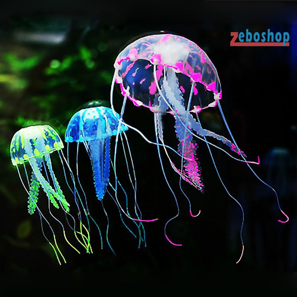 Sứa Giả Phát Quang Trang Trí Bể Cá