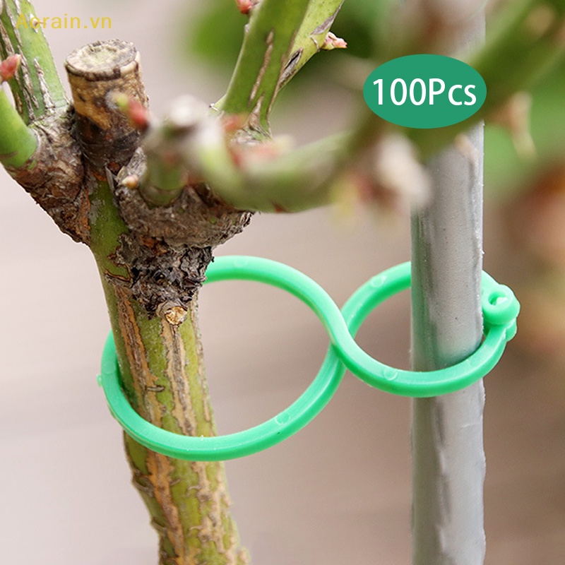 Set 100 Vòng Kẹp Giữ Dây Trồng Cây Cà Chua